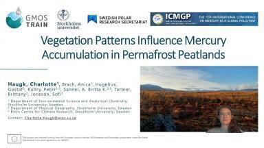 Vegetation Patterns Influence Mercury Accumulation in Permafrost Peatlands